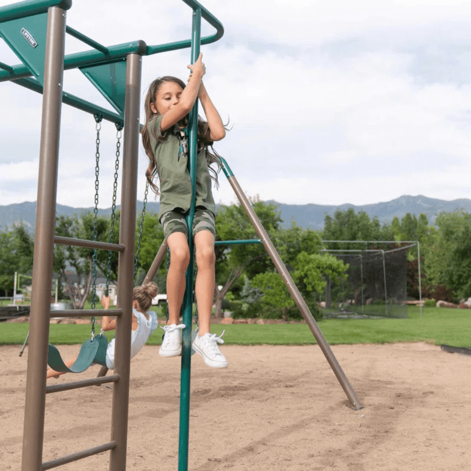 Lifetime Powder Coated Steel Swing Set with 4 Swing(s) , 1 Slide(s)