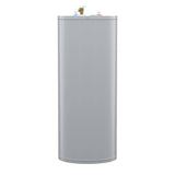 A.O. Smith Signature 100 40-Gallon Short 6-Year Warranty 4500-Watt Double Element Electric Water Heater | E6-40R45D TTP