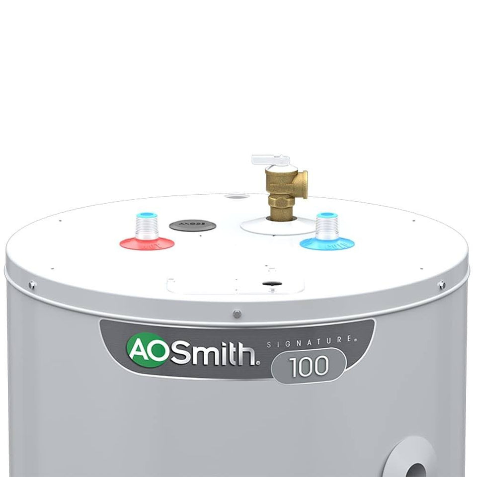 A.O. Smith Signature 100 50-Gallon Short 6-Year Warranty 4500-Watt Double Element Electric Water Heater | E6-50R45D TTP