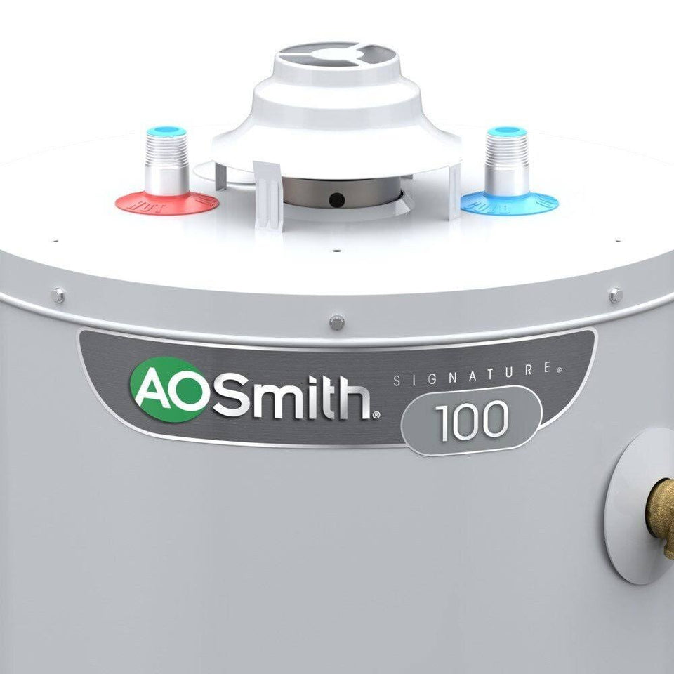 A.O. Smith Signature 100 30-Gallon Tall 6-Year Limited 32000-BTU Natural GAS Water Heater | G6-T3032NVR